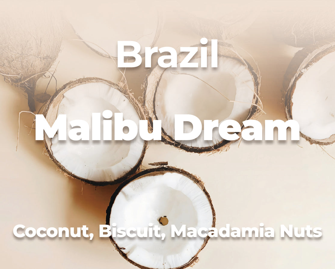 Malibu Dream