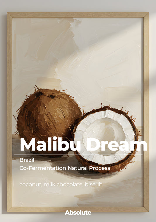 Malibu Dream
